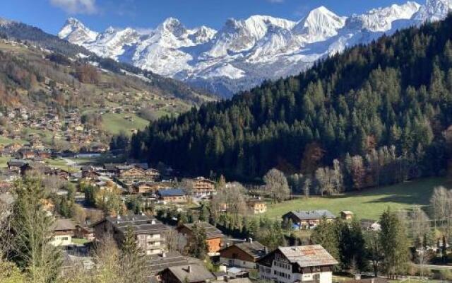 Appartement Le Grand-Bornand, 2 pièces, 4 personnes - FR-1-241-103