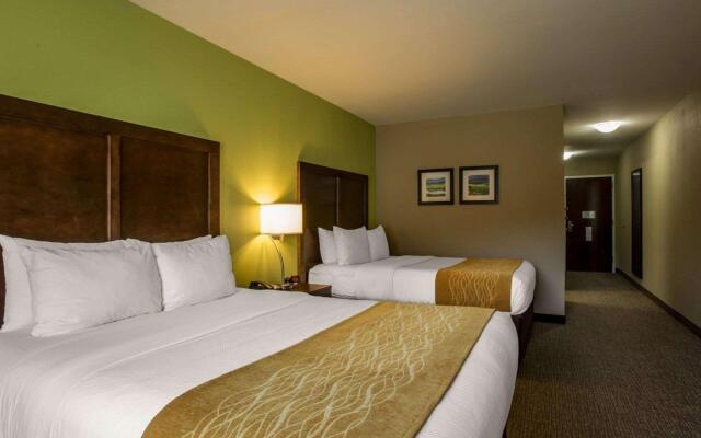Comfort Inn Sylva - Cullowhee