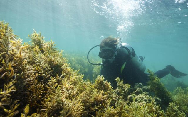 Aparthotel Adagio Abu Dhabi Al Bustan
