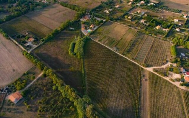 Agriturismo I Vigneti