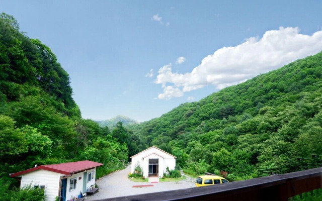 The Tree in the Lake