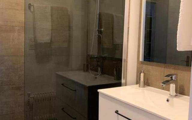 APPARTEMENT COEUR de ROANNE