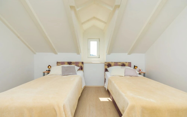 Hedera Estate, Hedera A19