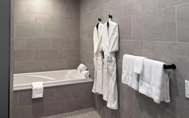 SpringHill Suites by Marriott Chicago Chinatown