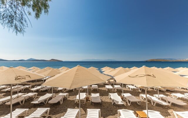 Acelya Motel