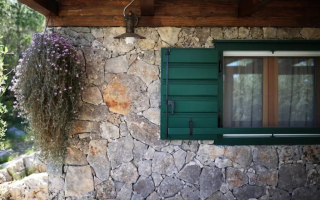 Robinson house''La Vida''