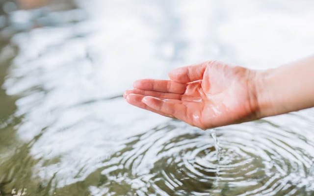 Hana To Hotaru Yu No Sato Yukiguni