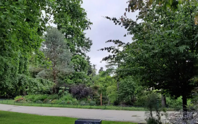 L'appart de Saige