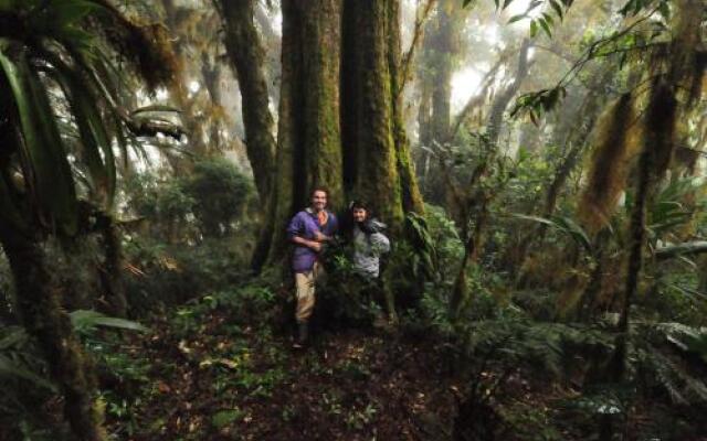 Mount Totumas Cloud Forest