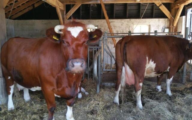landgoed Groot Boerle