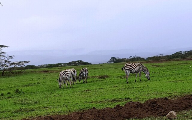 Ole Itiko Cottages