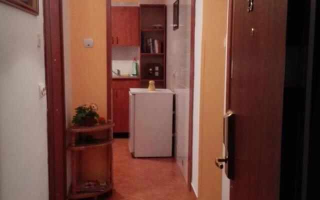 Apartament Paltin