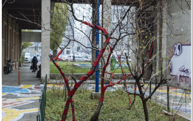 Orinoco Old City Studio