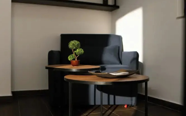 Tepelena Center Hotel