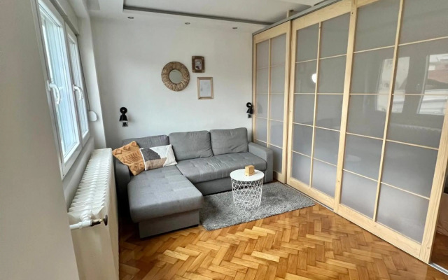 Comfortable apartment in city hub