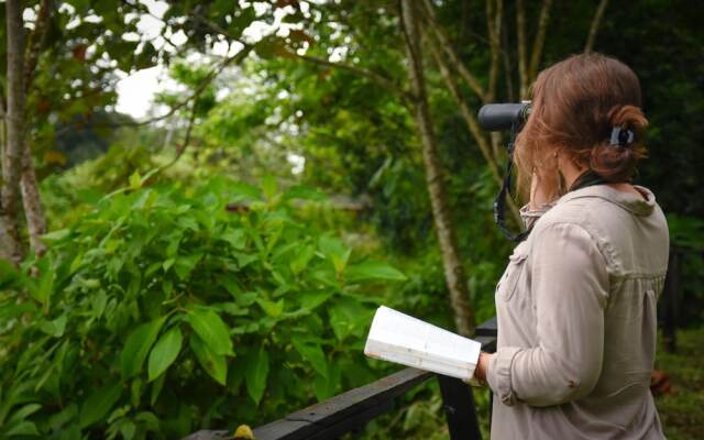 Chilamate Rainforest Eco-retreat