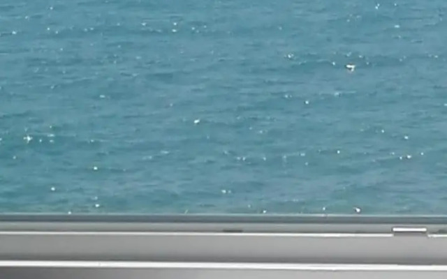 Attico Il Gabbiano (Centralissimo Porto di Anzio)