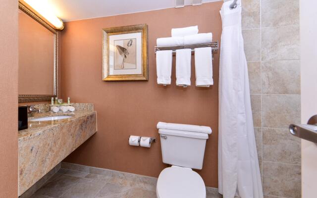 Holiday Inn Express Clearwater East - Icot Center by IHG