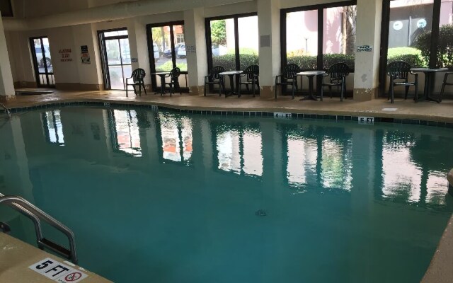 The Palms