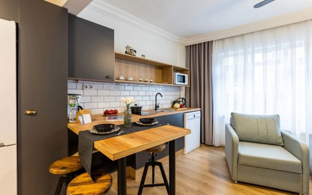 Missafir Impressive Flat in the Heart of Cihangir