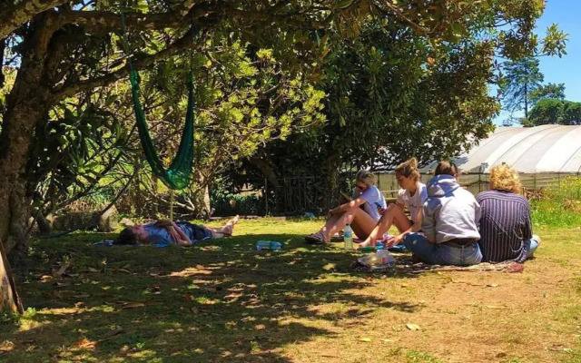 Laughing Leopard Hostel