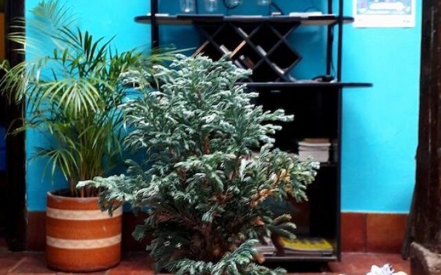 Casa Quinta Hostel