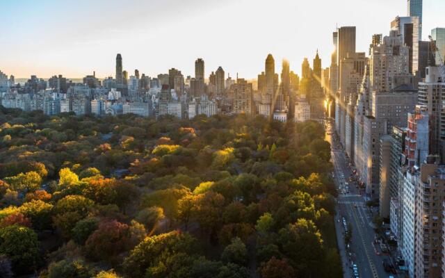 Thompson Central Park New York, part of Hyatt