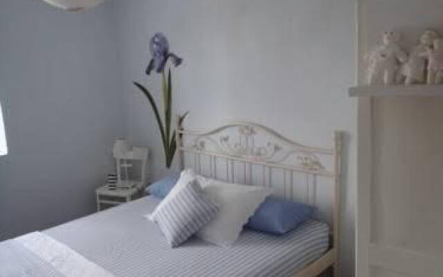 House Brac