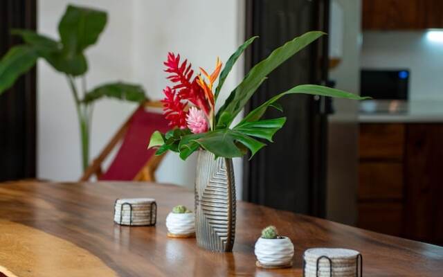 Villa Ave del Paraíso