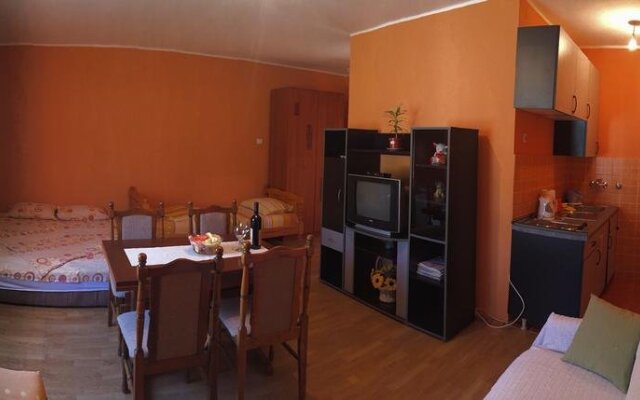 Apartment Davidovic