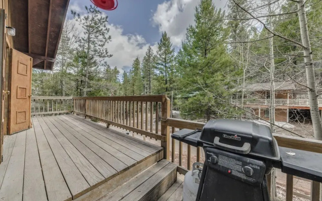 Cloudcroft Cabin Vacation Rental: 3 Mi to Skiing! - фото 5