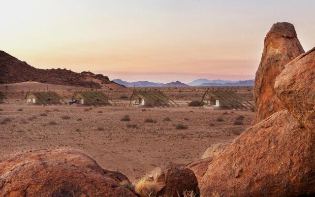 Desert Quiver Camp