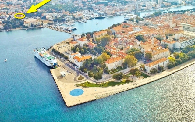 Apartment Palcic