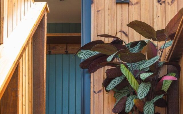 The Mole Resort - Lodges