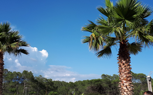 Les Parasols d'Argens