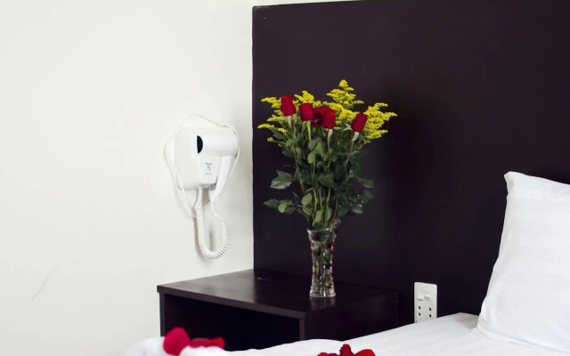 Thy Phuong Danang Hotel