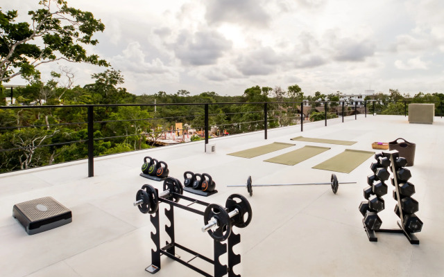 Seremonia Studios by Soyrumi