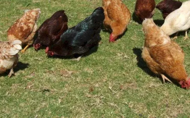 Bulwarra Bed & Breakfast
