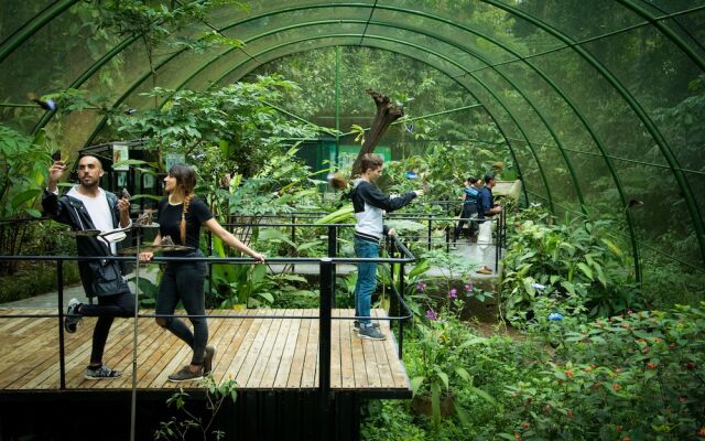 Tapirus Lodge