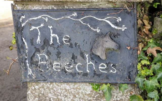 The Beeches