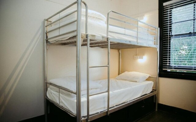 Little Drifter Glebe