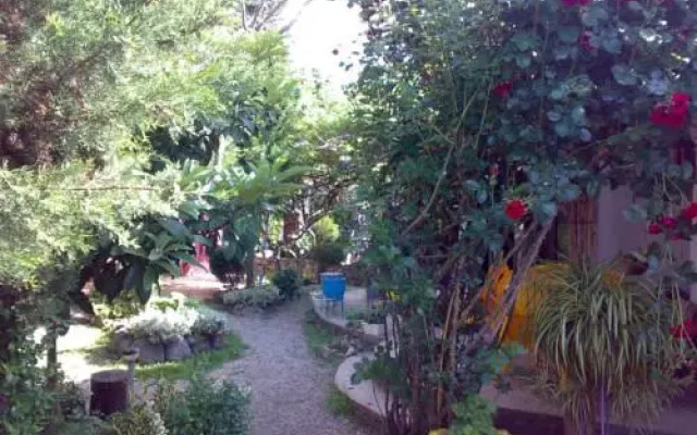 Guest House Paradise Garden