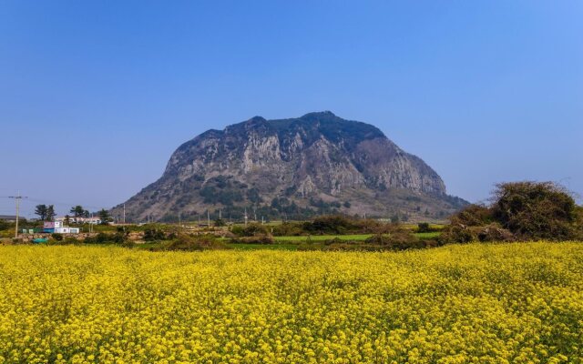 Jeju Aerospace Hotel