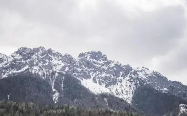 Wachtler Residence Dolomites