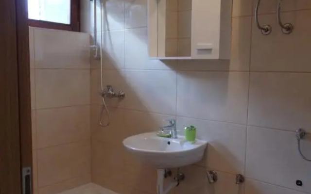 Apartment Anic Milic