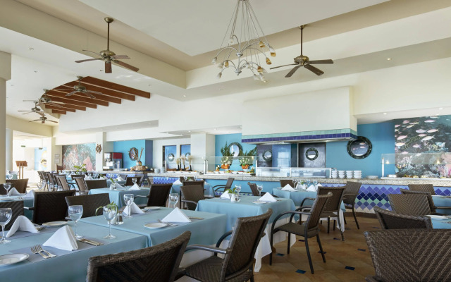 Occidental Tucancun - Все включено