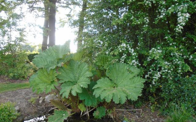 Le Gite Du Colombier