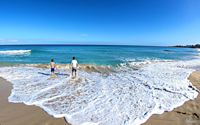 Golden Tree Apartment