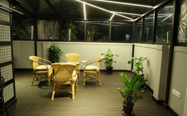 White Fern Stays