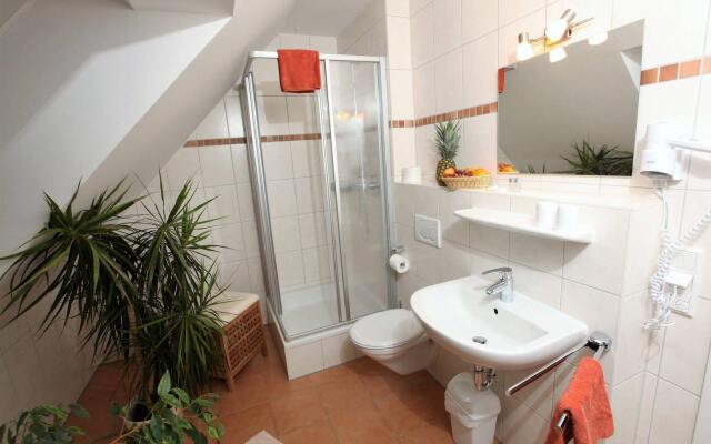 Gasthof-Pension Brauner Hirsch